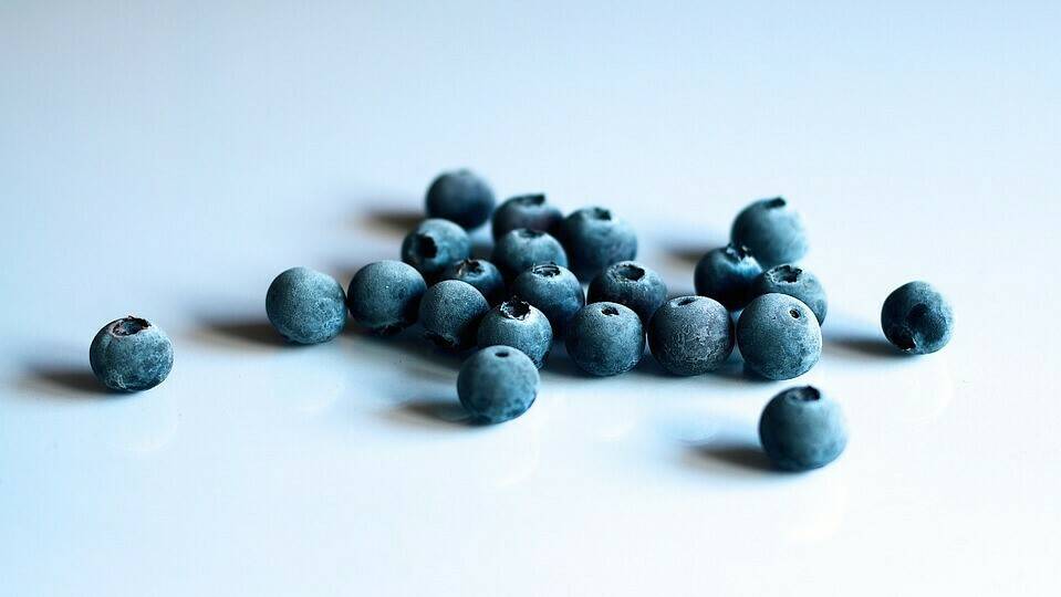 health-3048040_960_720|blueberry-3460419_960_720